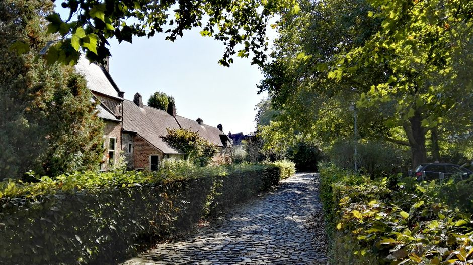 groene lening in Leuven