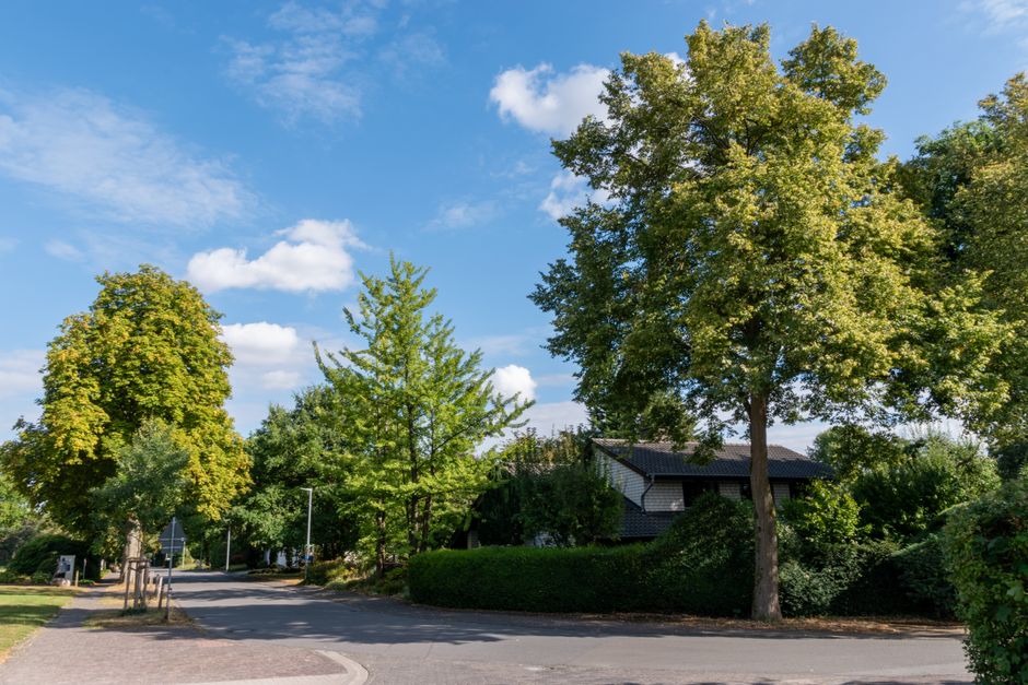 groene lening in Turnhout
